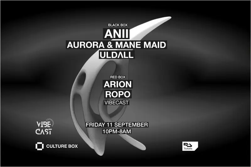 ANII i Culture Box