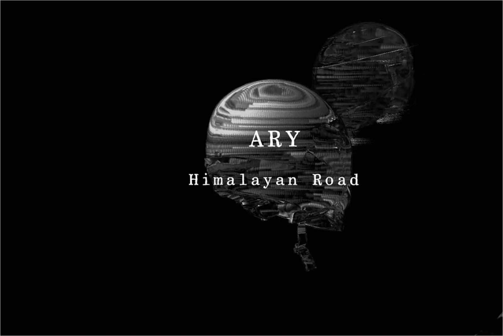 Pressefoto af Ary