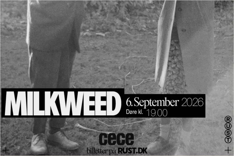 Milkweed (US) i Rust