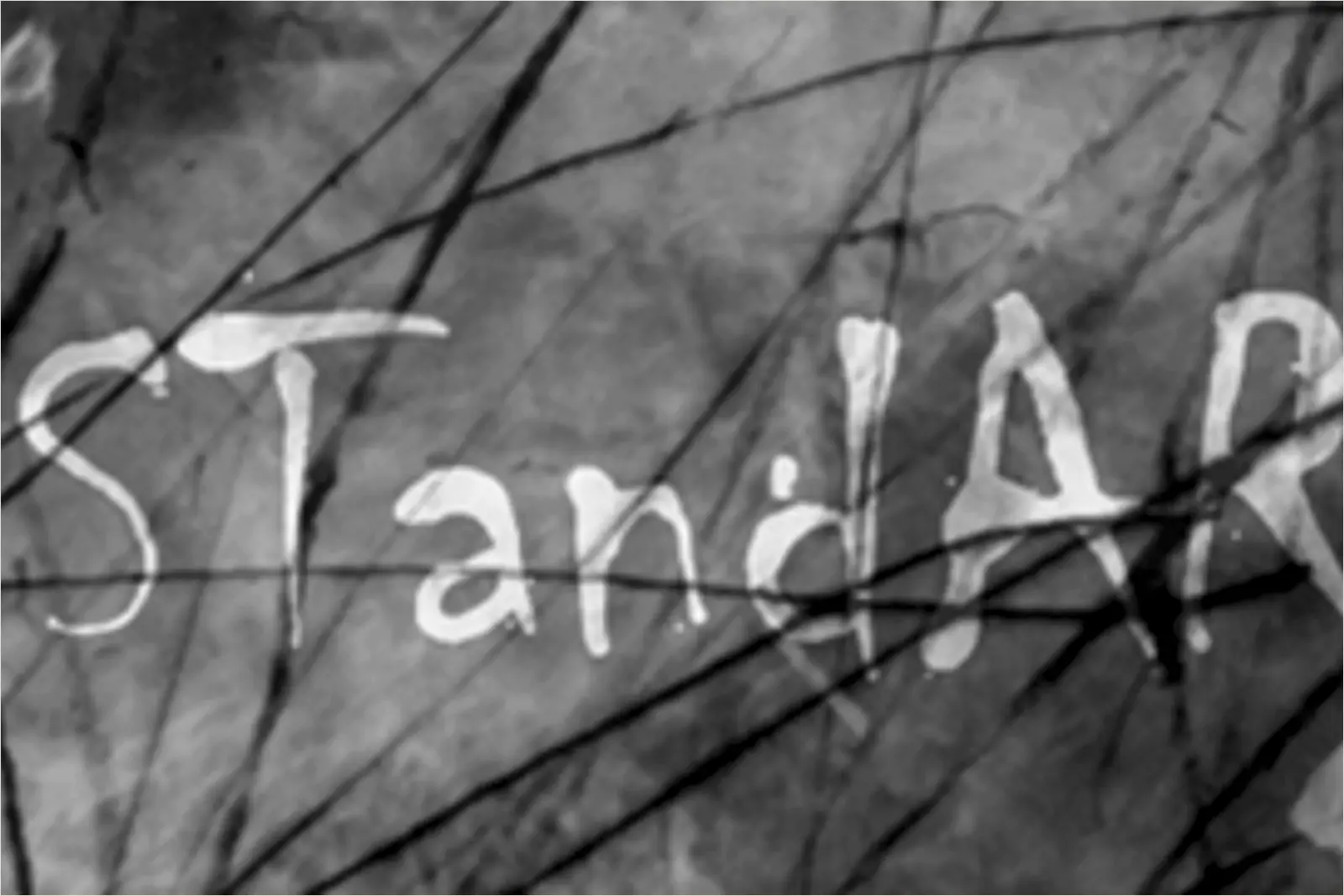 Pressefoto af Standart
