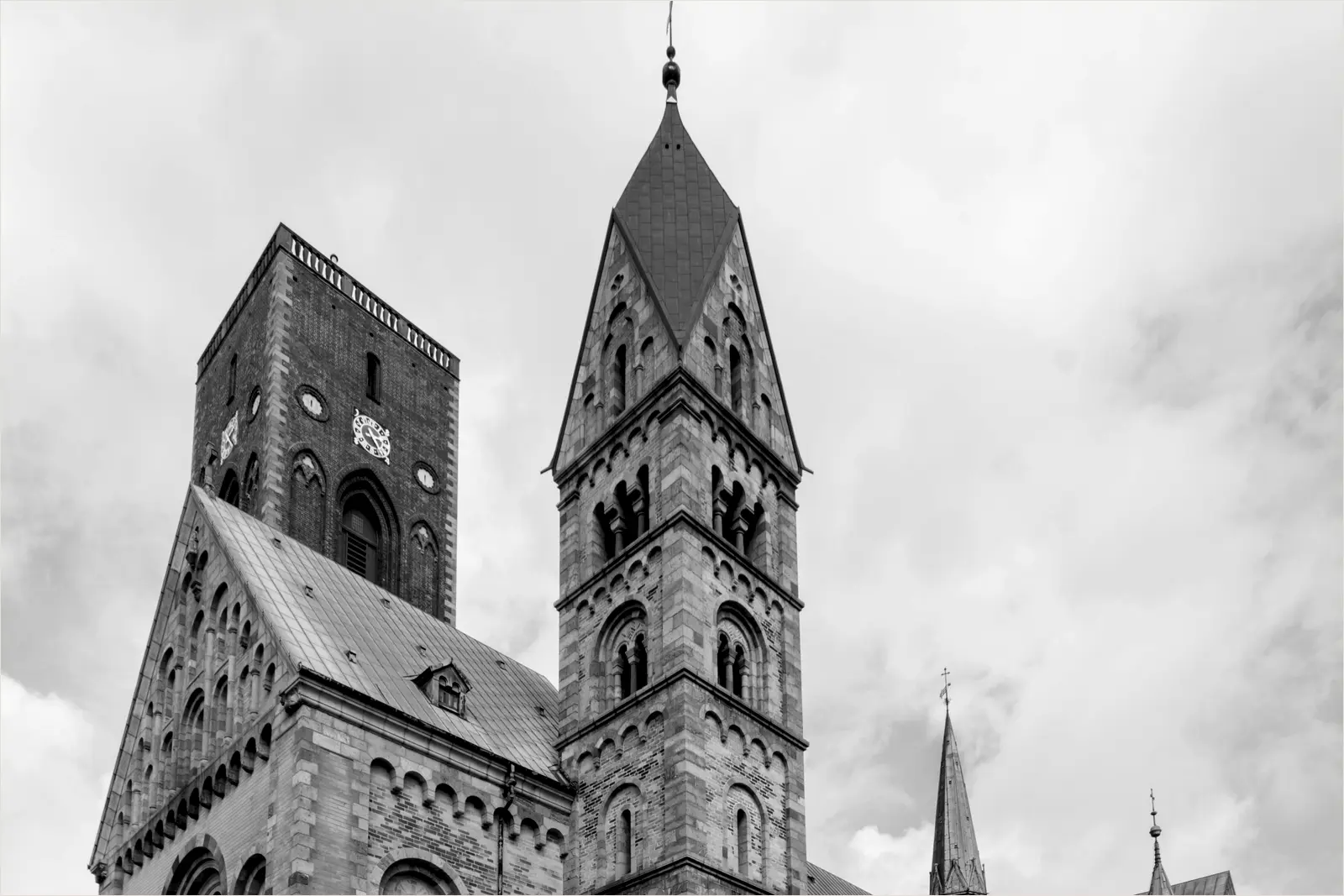 Ribe Domkirke, Ribe