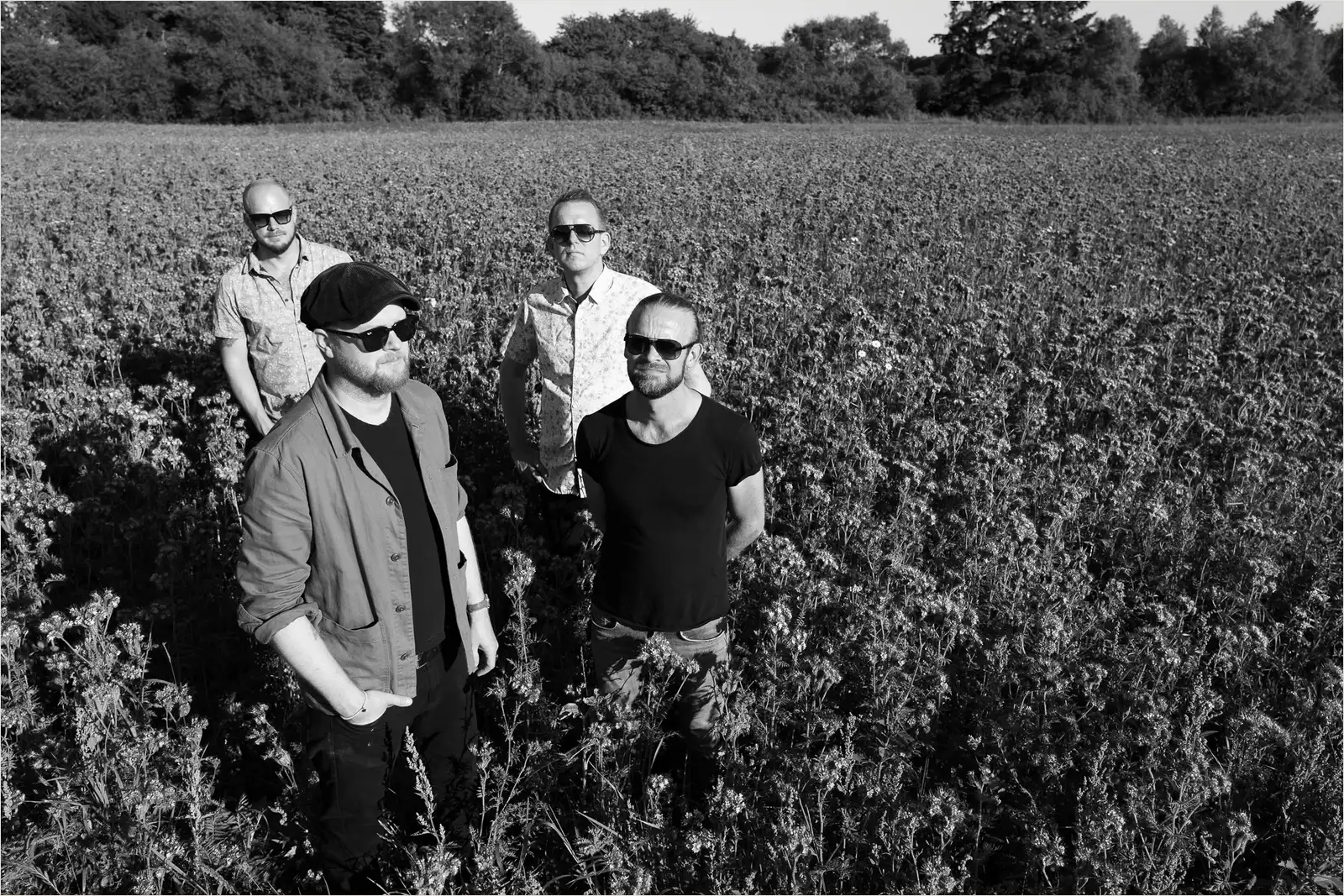 Freddy and the PHANTOMS i Paletten