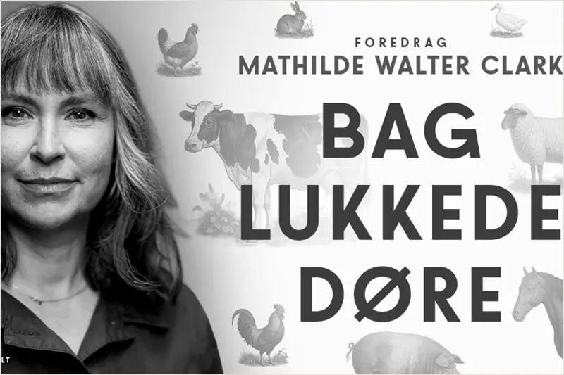 Mathilde Walter Clark - Bag lukkede døre i Musikkens Hus