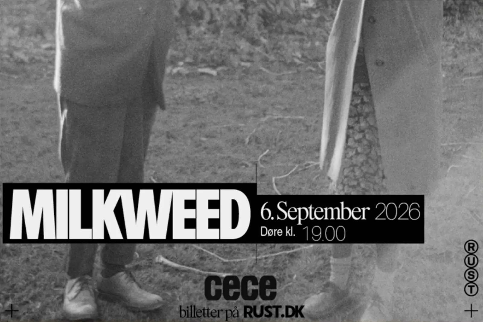Pressefoto af Milkweed