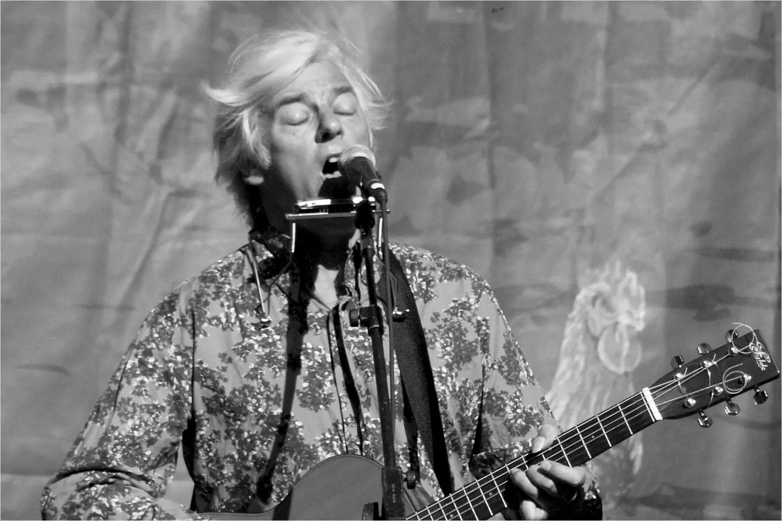 Pressefoto af Robyn Hitchcock
