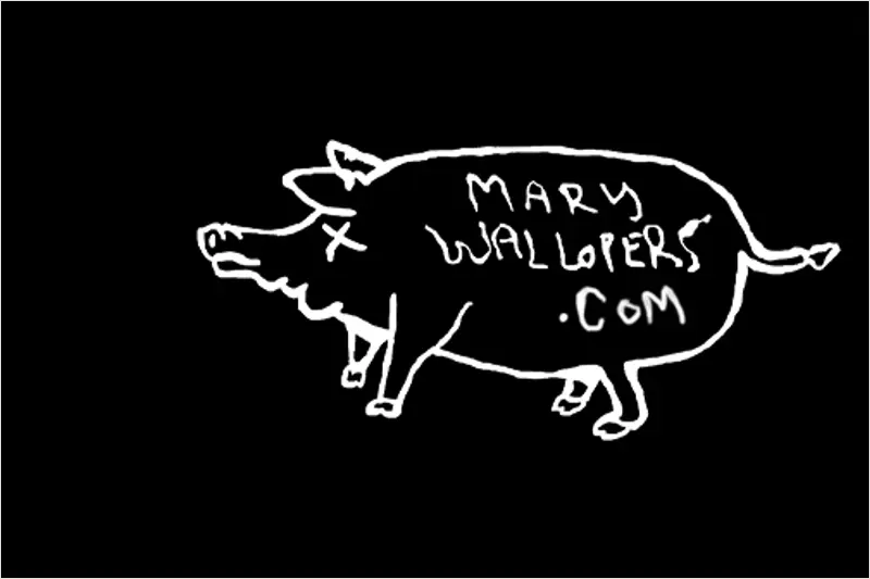 The Mary Wallopers i VEGA